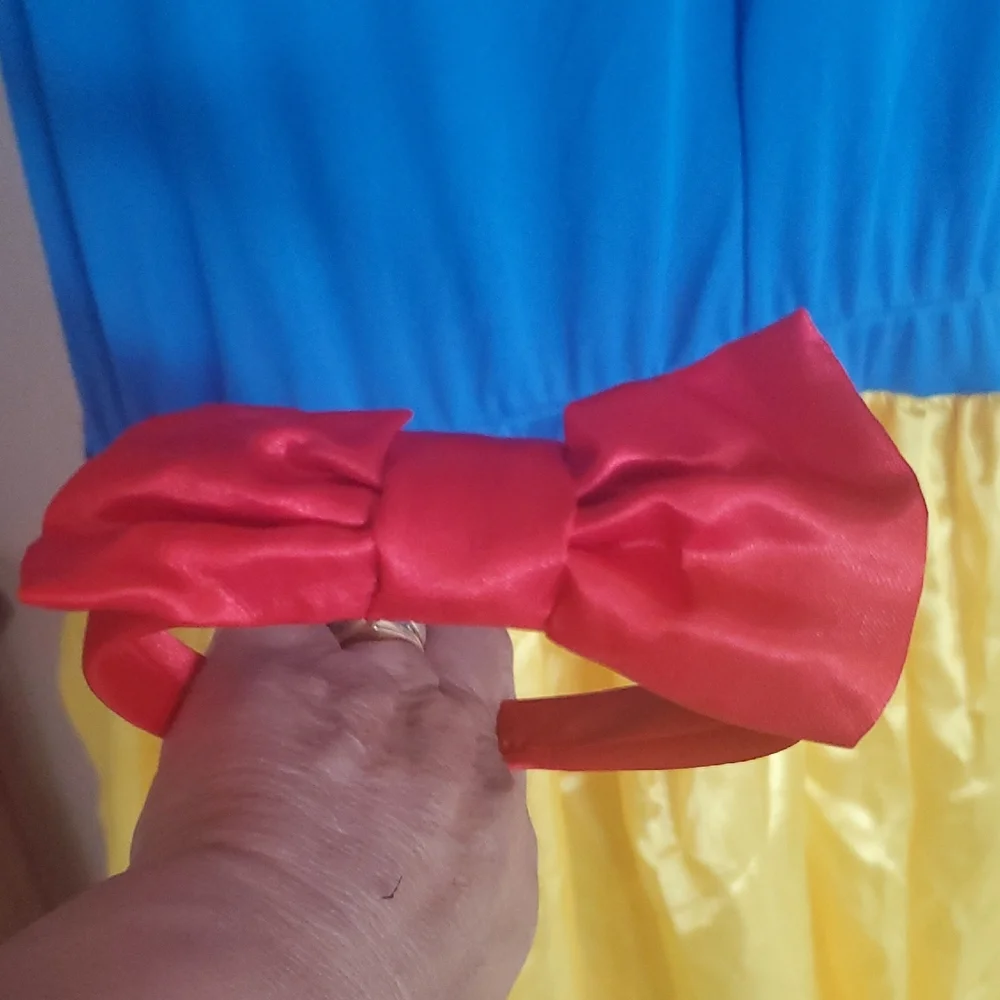 Disney Princess Costume with Blue and Yellow Dress - Picture 11 of 11